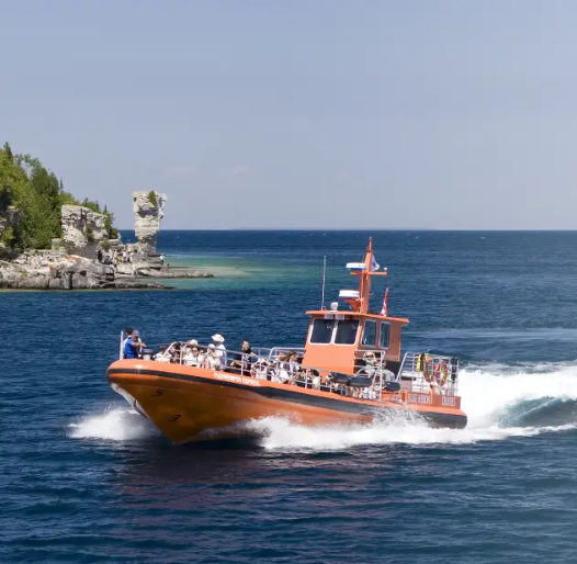 Blue HeronCruises
