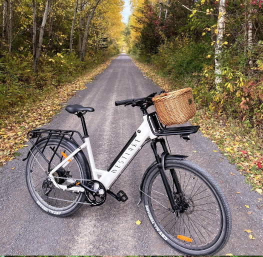 E-BikeRental
