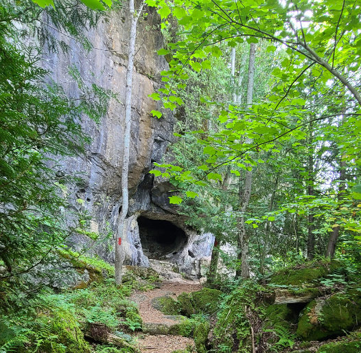 Greig`sCaves