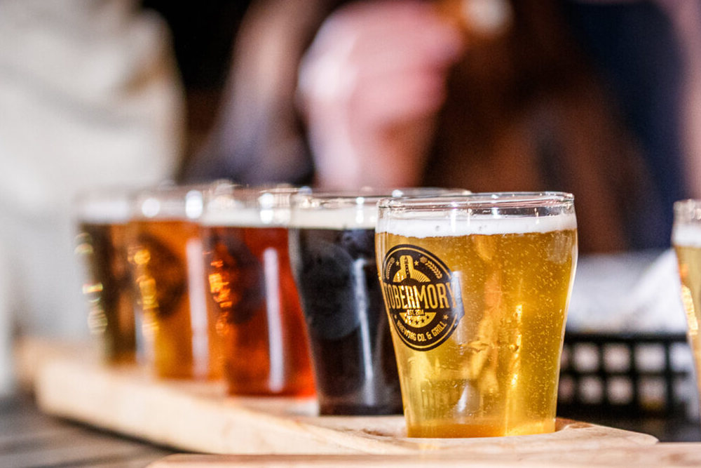 TobermoryBrewing1