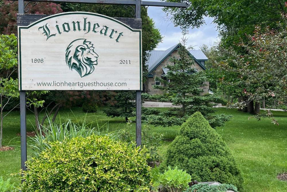 Lionheart3